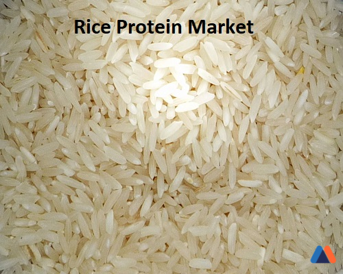 Rice Protein Market